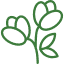 Perennial Flowers