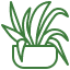 House Plants