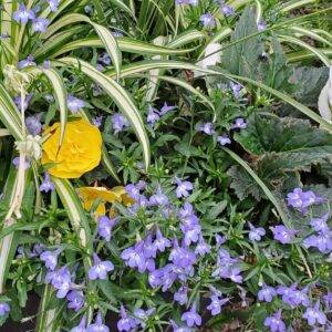 summer planter workshop