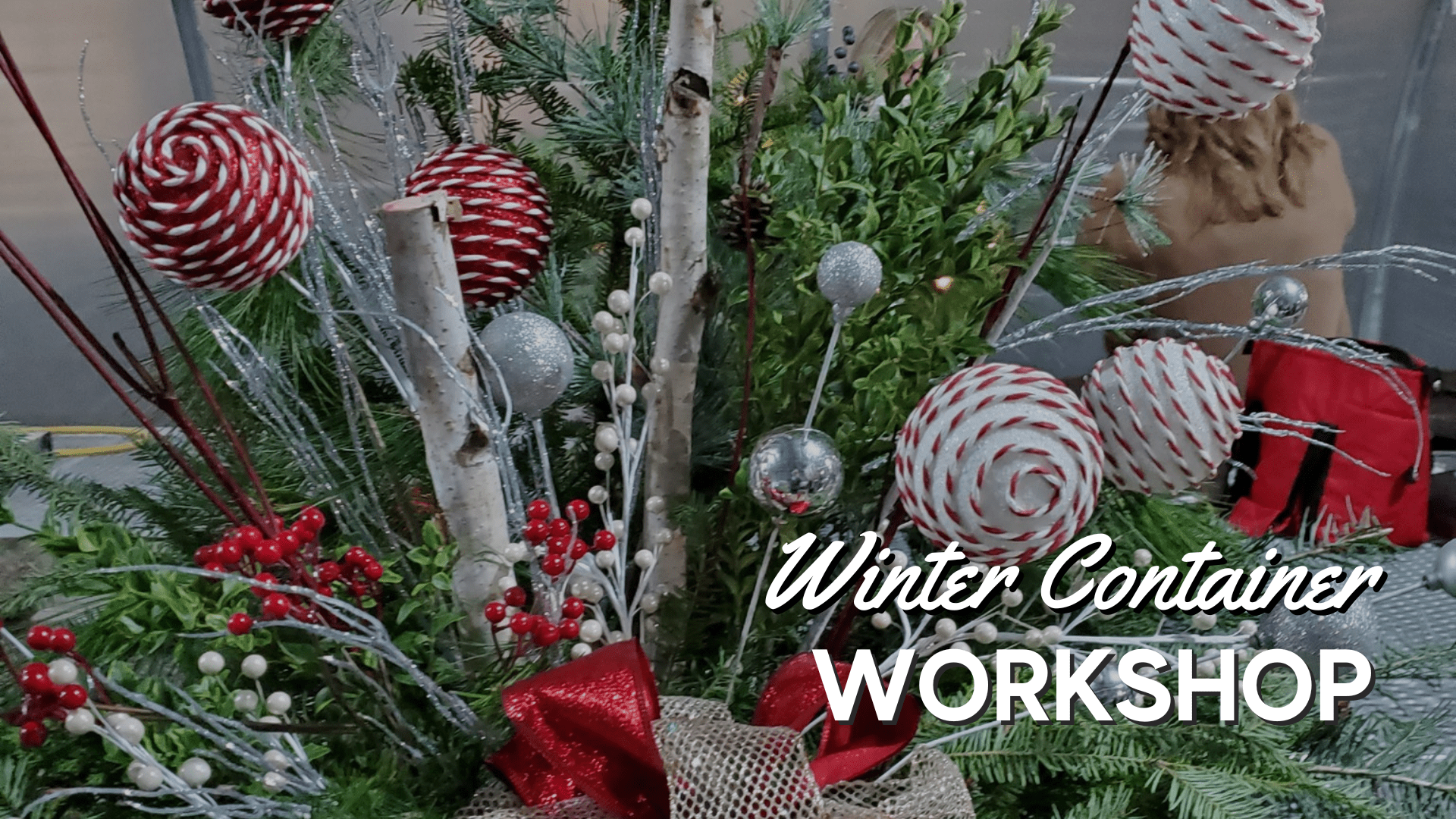 Thomas Greenhouse & Gardens Winter Container Workshop Graphic